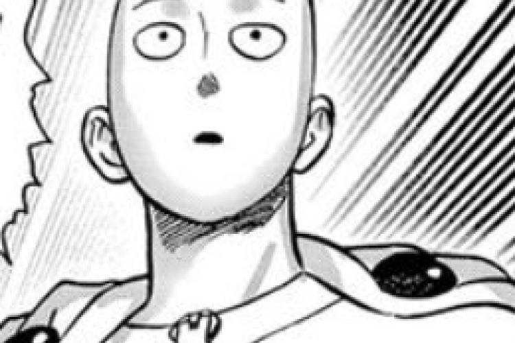 Lire One Punch-Man Chapitre 294 (222) VF Scan, Saitama souhaite-t-il être recruté par les Néo-Héros ?