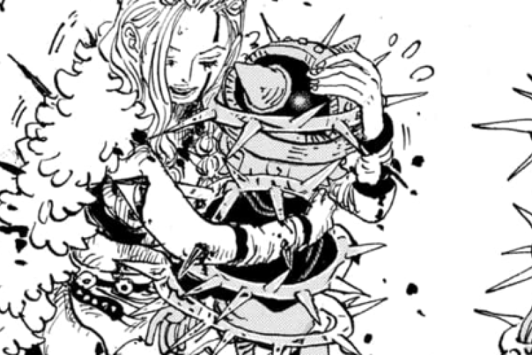 Lisez du One Piece Manga Chapitre 1176 en FR VF Scan, L'amour d'une mère pour toujours