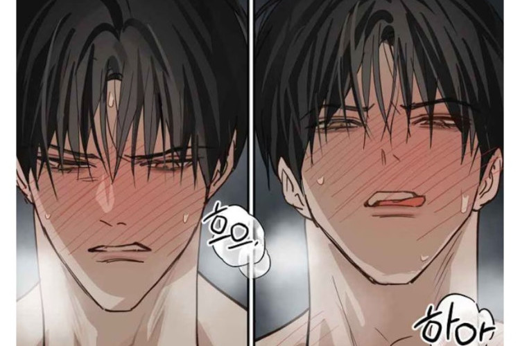 Spoilers la Manhwa Flowers Are Bait Chapitre 52 en Français, Le regard de Lee Yeon posé sur Chae Woo !