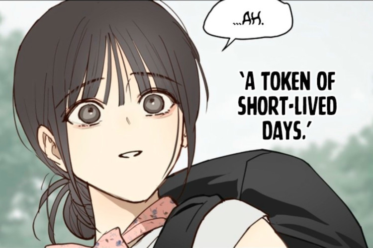 Spoilers du Manhwa Flowers Are Bait Chapitre 56 en Français, Lee Yeon, toute rougissante