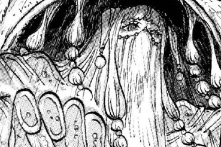 Lisez du One Piece Manga Chapitre 1184 en FR VF Scan, Le combat acharné entre Imu et Loki se poursuit