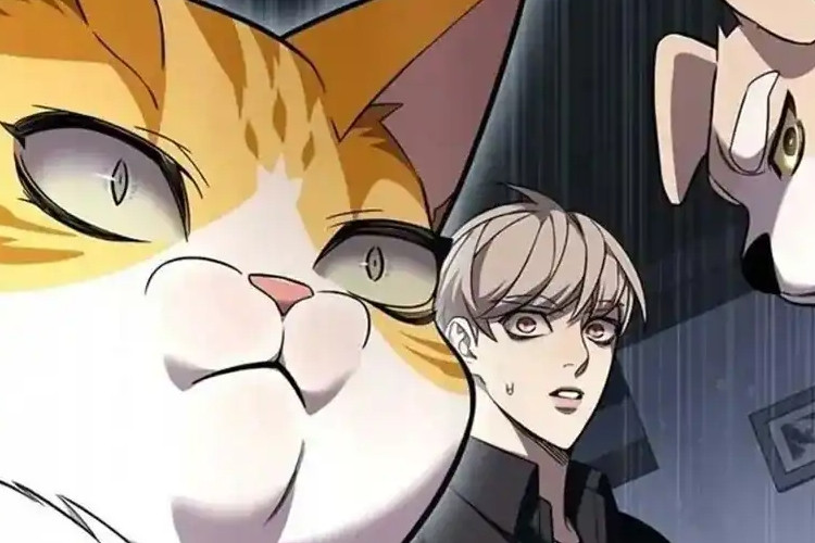 Lisez Manhwa Eleceed Chapitre 395 VF Scan Jiwoo Va Trop Loin, Le Combat Est Trop Violent