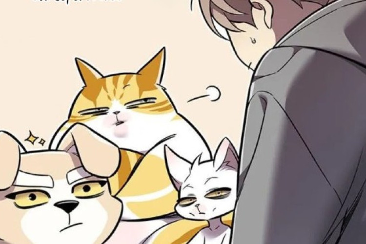 Lien du Lire RAW Manhwa Eleceed Chapitre 407 VF Scan, A série de perguntas incômodas de Jiwoo