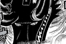 Lisez manga One Piece Chapitre 1178 FR Scan, Nami est devenue le pilier de l'équipage de Luffy
