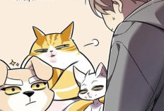 Lien du Lire RAW Manhwa Eleceed Chapitre 407 VF Scan, A série de perguntas incômodas de Jiwoo